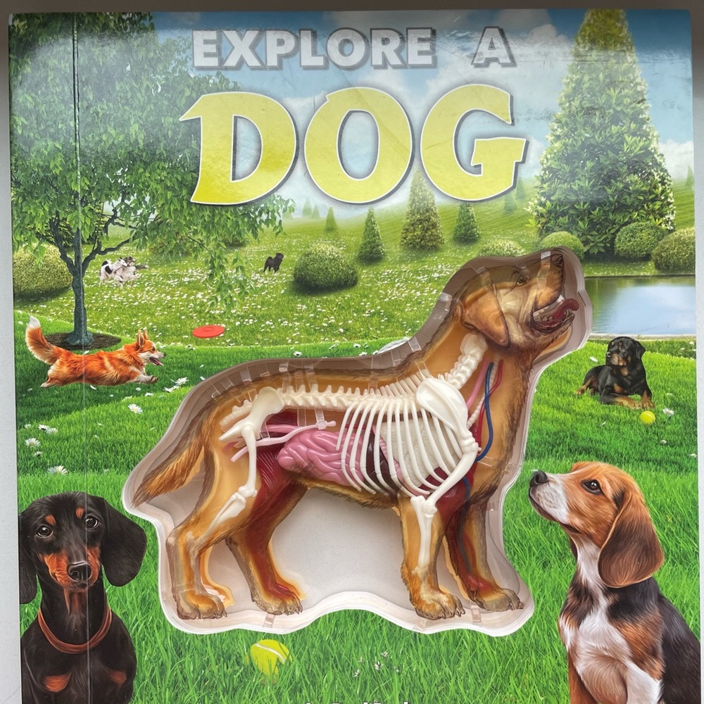 Explore a Dog book